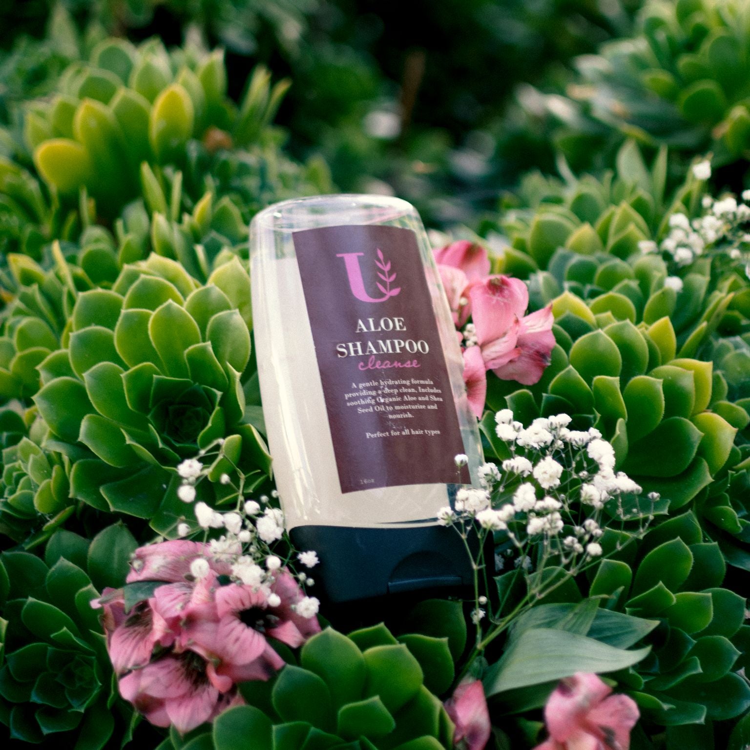 Aloe Shampoo & Conditioner Set